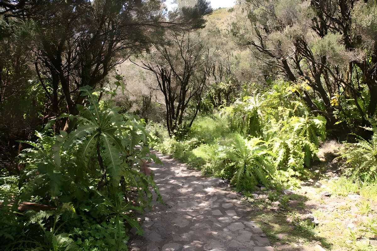 GCCOM11168