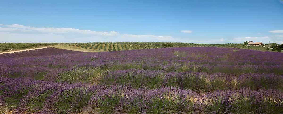 GCCOM71801