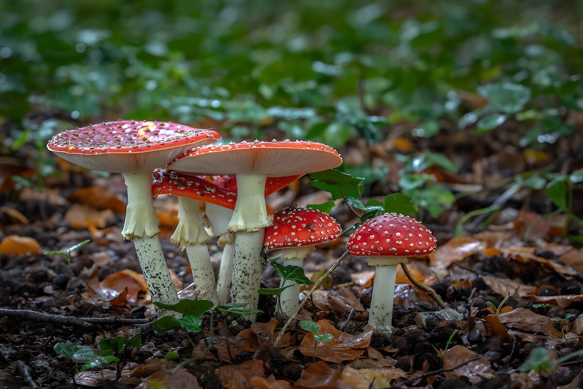 GCCOM22940